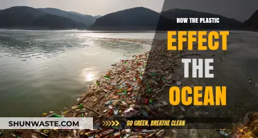 Plastic Pollution: Oceans in Danger