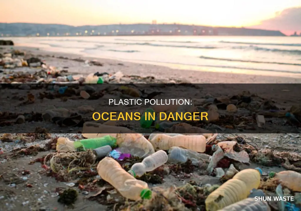 how the plastic effect the ocean