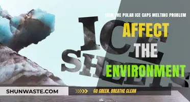 Melting Polar Ice Caps: Devastating Environmental Impacts and Global Consequences