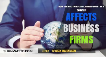 Political-Legal Landscapes: Shaping Business Strategies and Firm Outcomes