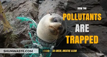 Trapping Pollutants: Strategies for Capturing Harmful Emissions
