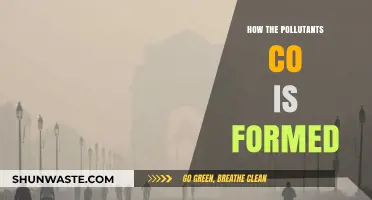 Carbon Monoxide: A Silent, Deadly Pollutant