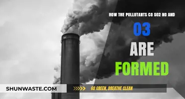 Sources of Air Pollution: SO2, NO, and O3