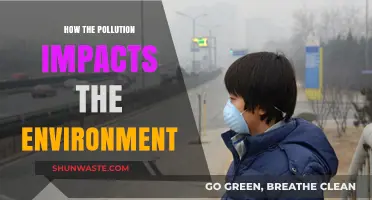 Pollution's Devastating Effects: How Contaminants Harm Our Fragile Ecosystems