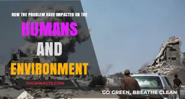 Environmental Crisis: Human and Ecological Consequences of Persistent Global Challenges