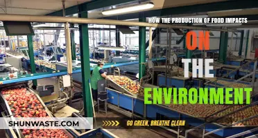 Food Production's Environmental Impact: Sustainable Solutions for a Greener Future