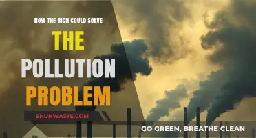Wealthy Warriors: Solving Pollution Problems