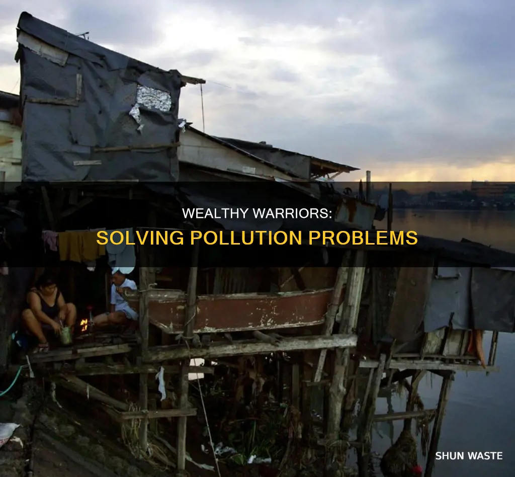 how the rich could solve the pollution problem
