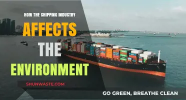 Shipping's Environmental Impact: Pollution, Emissions, and Ecosystem Disruption Explained
