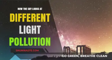 Exploring the Night Sky: Light Pollution Perspectives