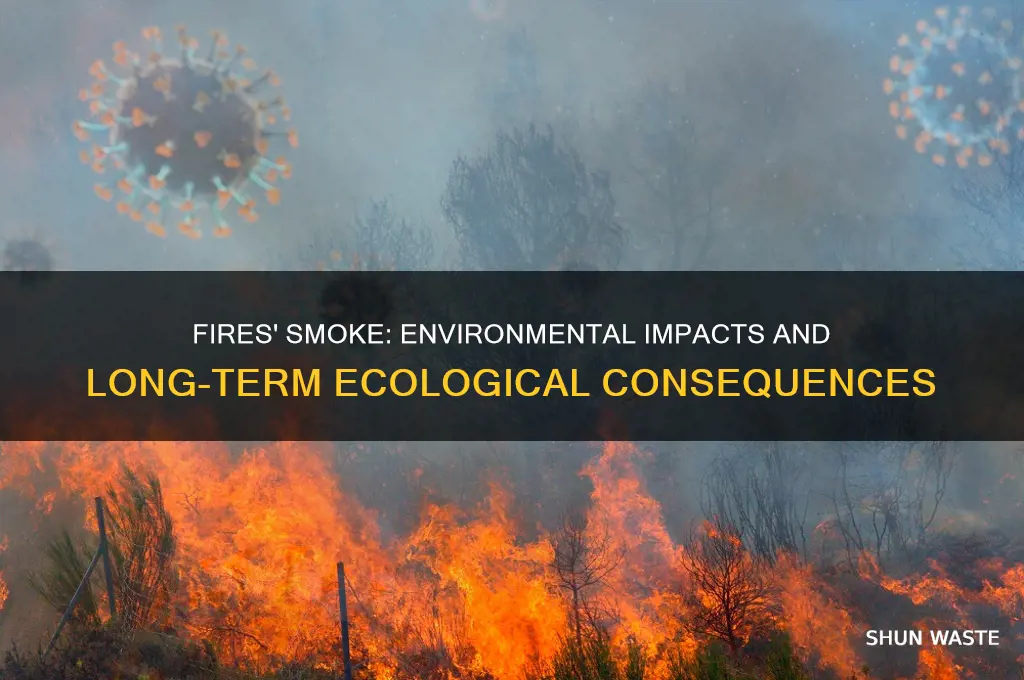 how the smoke of fires affect the environment