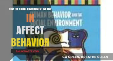 Social Surroundings: Shaping Behavior and Influencing Our Daily Actions