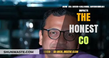Socio-Cultural Influences: Shaping The Honest Co.'s Values and Practices