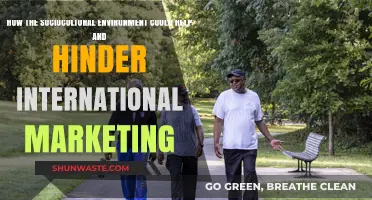 Sociocultural Influences: Boosting or Blocking Global Marketing Success?
