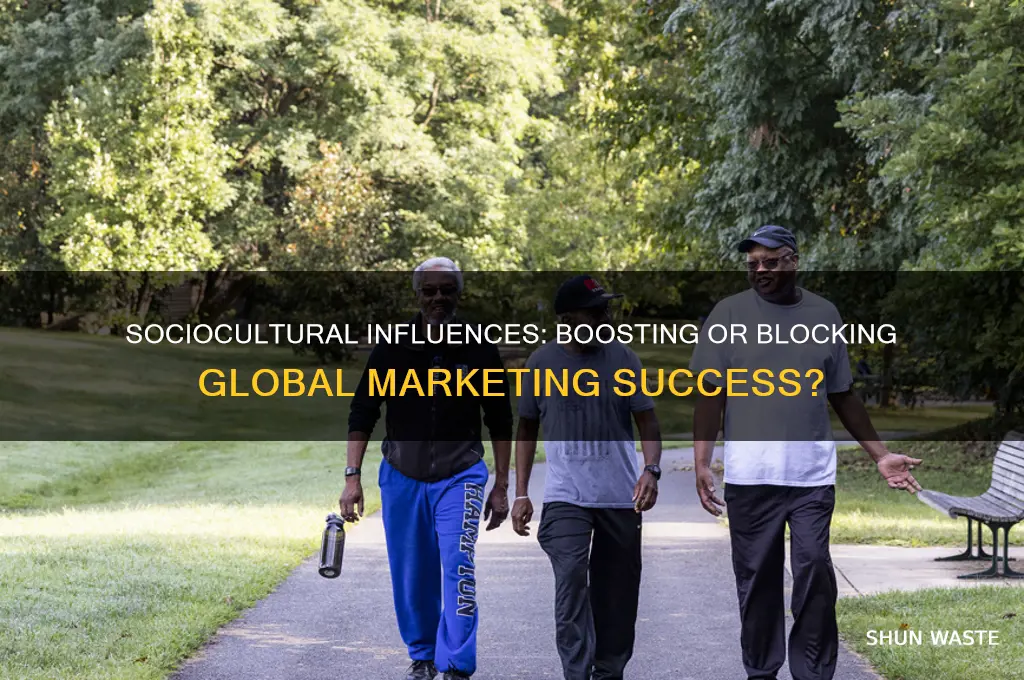 how the sociocultural environment could help and hinder international marketing
