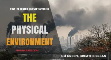 Thneed Industry's Environmental Impact: A Physical Environment Analysis