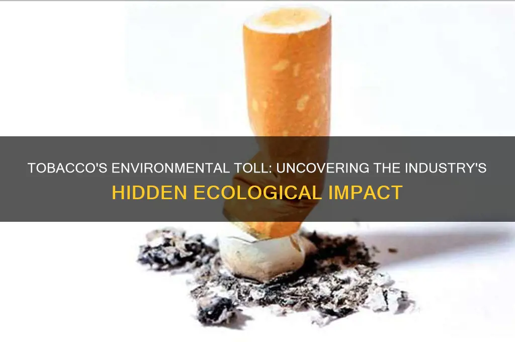how the tobacco business operations impact on the environment
