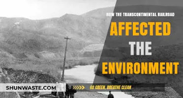 Transcontinental Railroad's Environmental Impact: Shaping Landscapes and Ecosystems