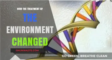 Environmental Evolution: Shifting Attitudes and Actions Toward Our Planet