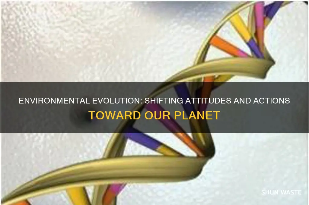 how the treatment of the environment changed