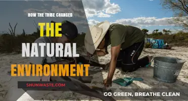 How Indigenous Tribes Transformed and Shaped Their Natural Environments