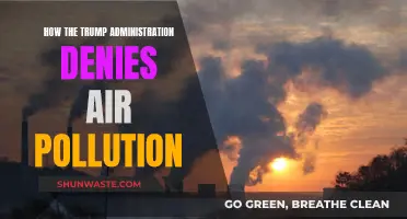 Trump Administration's Air Pollution Denial: Harmful and Misguided