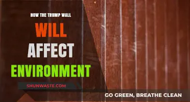 Trump's Border Wall: Environmental Impacts and Ecosystem Disruption Explored