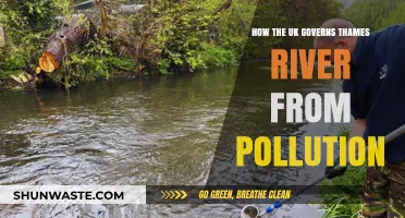 Thames River: UK's Strategic Plan to Combat Pollution
