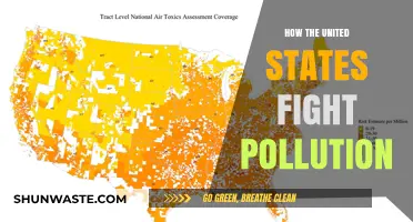 US Anti-Pollution Strategies: A Comprehensive Overview