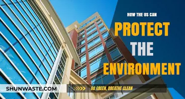 Sustainable Solutions: How the US Can Safeguard Our Environment