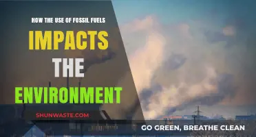 Fossil Fuels' Environmental Toll: Pollution, Climate Change, and Ecosystem Destruction