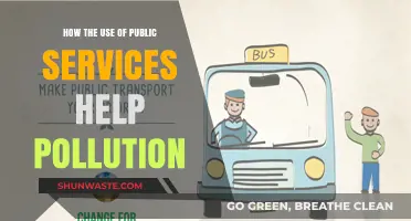 Public Transport: Reducing Pollution, Improving Cities