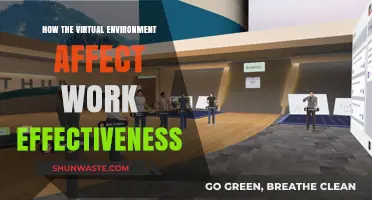 Virtual Workspaces: Impact on Productivity and Employee Performance