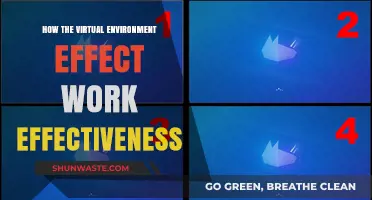 Virtual Workspaces: Boosting or Hindering Employee Productivity and Effectiveness?