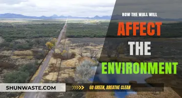The Environmental Impact of the Border Wall: A Comprehensive Analysis