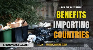 Waste Trade Advantages: Economic and Environmental Gains for Importing Nations
