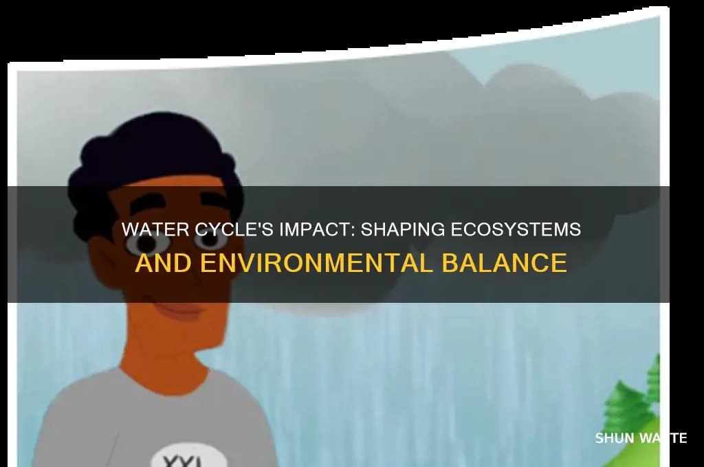 how the water cycle affect the environment