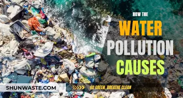 Unveiling the Hidden Causes of Water Pollution