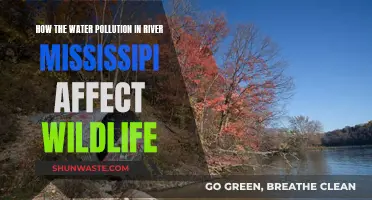 Wildlife Impacted by Mississippi River Water Pollution