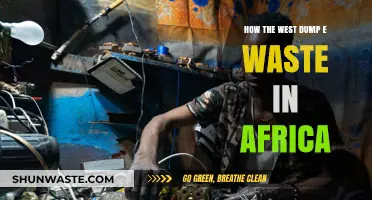 Toxic Trade: How Western E-Waste Floods Africa's Landfills