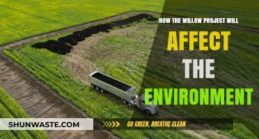 Willow Project's Environmental Impact: Assessing Risks and Consequences