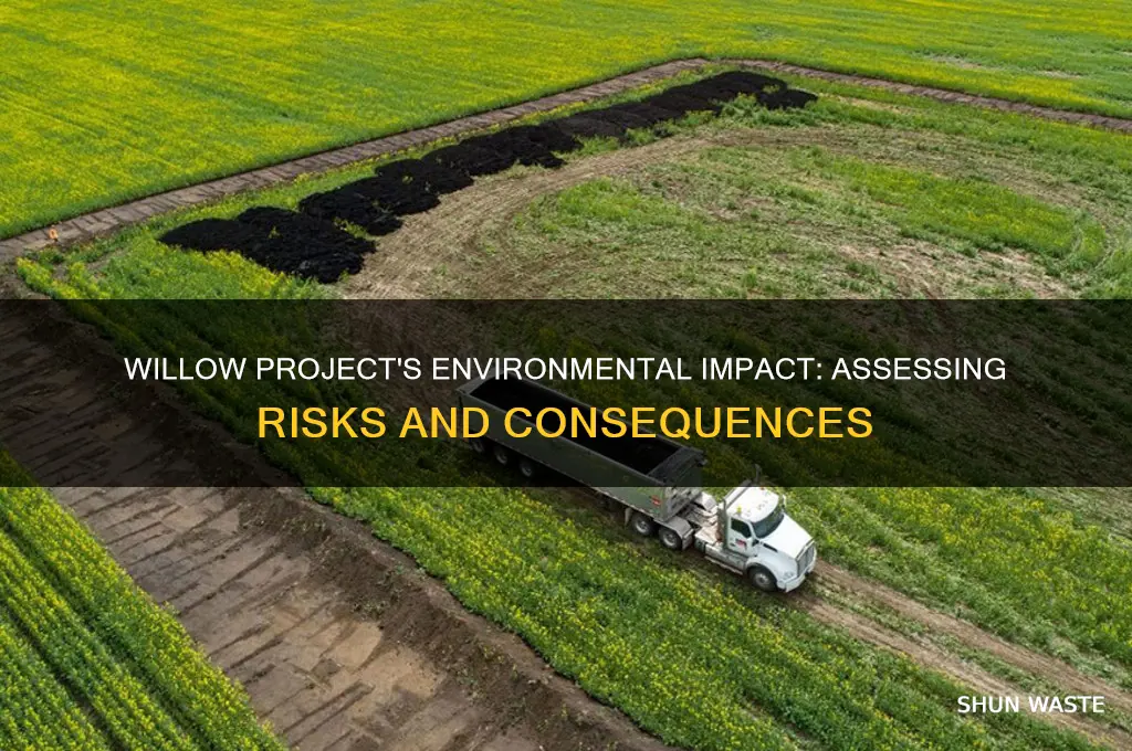 how the willow project will affect the environment