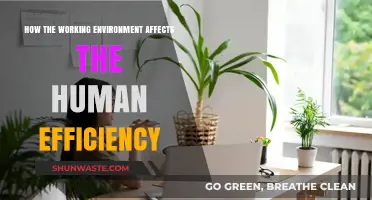 Workplace Environment: Key Factor Influencing Human Efficiency and Productivity