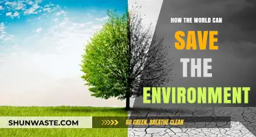 Sustainable Solutions: Global Actions to Protect and Preserve Our Environment