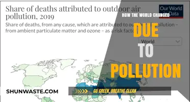 The World's Transformation: Pollution's Dark Legacy
