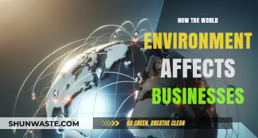 Environmental Shifts: How Global Ecosystems Shape Business Strategies and Outcomes