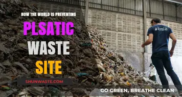Global Efforts to Combat Plastic Waste: Innovative Solutions and Strategies
