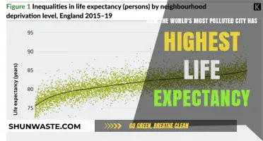 Pollution Paradox: City Life Expectancy Mystery
