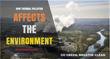 Thermal Pollution's Environmental Impact: Unseen Threats to Ecosystems and Wildlife