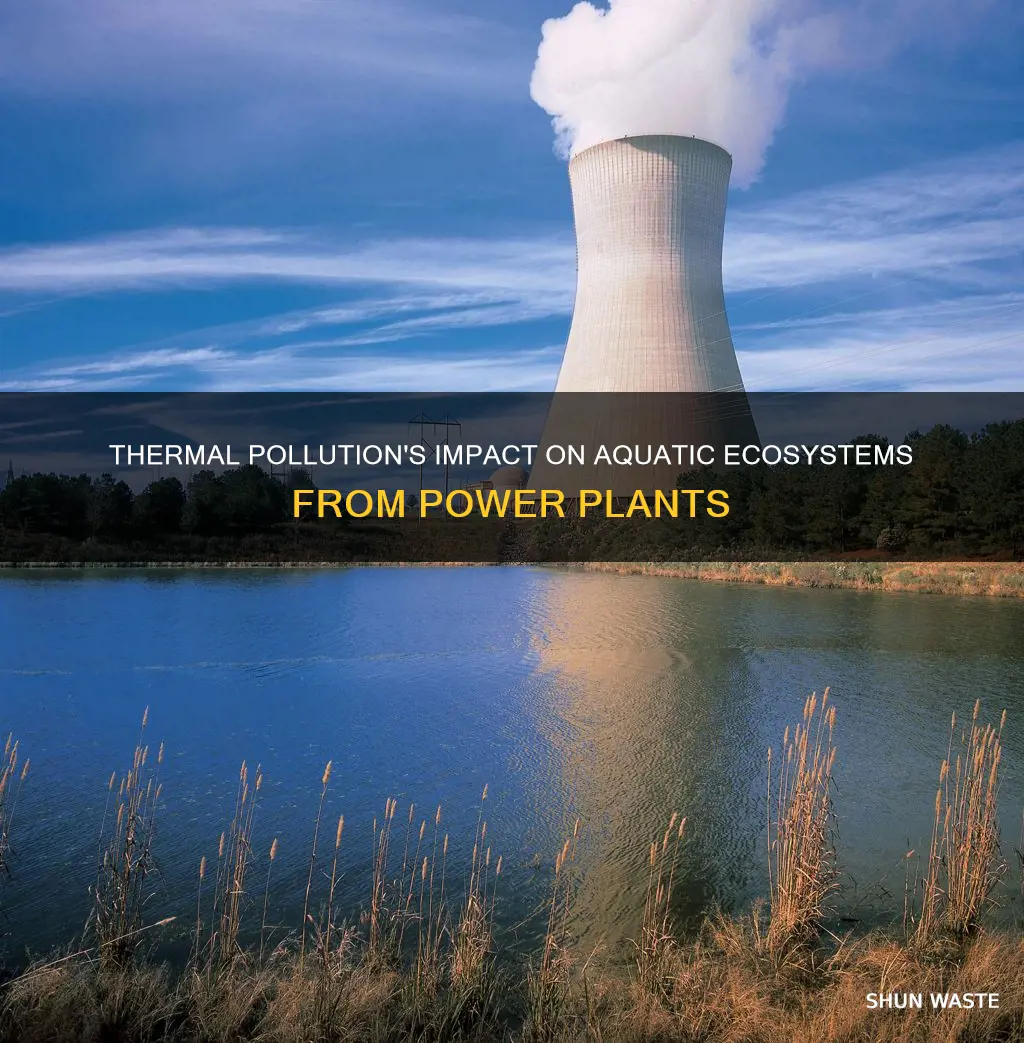 how thermal pollution from power plants can affect aquatic ecosystems